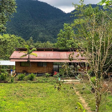 Sendero De Las Aves Mindo Zewnętrze zdjęcie