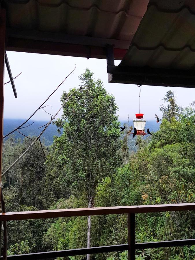 Sendero De Las Aves Mindo Zewnętrze zdjęcie