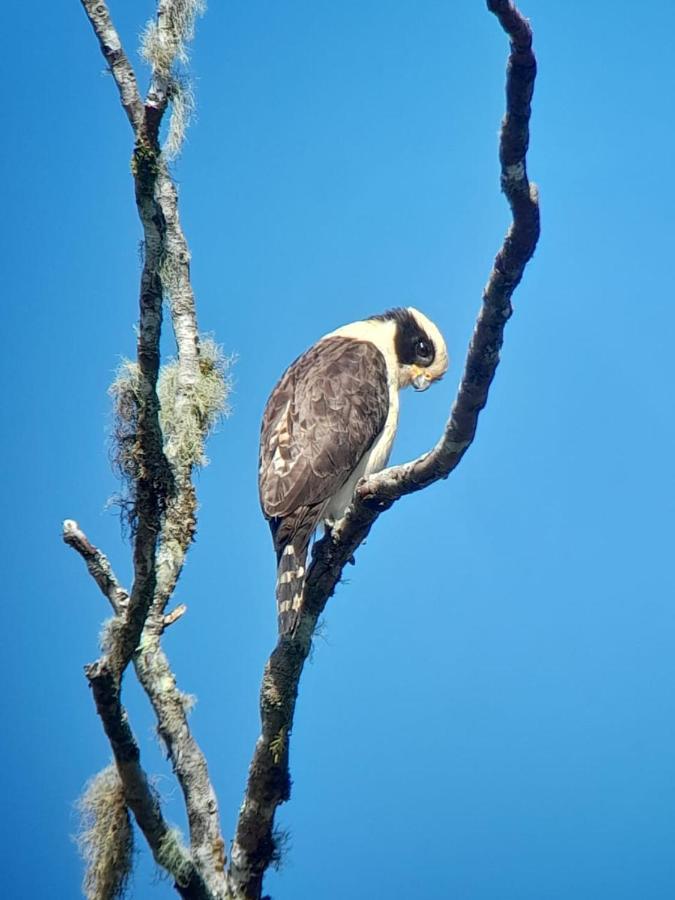 Sendero De Las Aves Mindo Zewnętrze zdjęcie