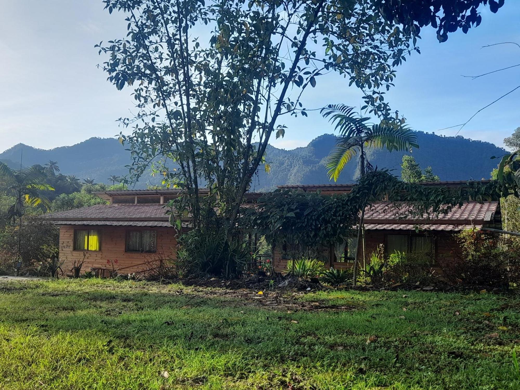 Sendero De Las Aves Mindo Zewnętrze zdjęcie