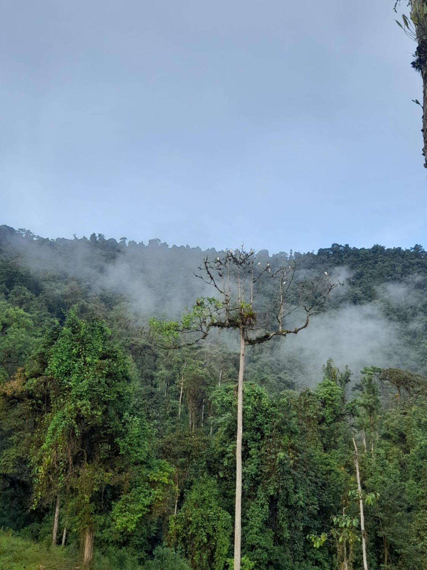 Sendero De Las Aves Mindo Zewnętrze zdjęcie
