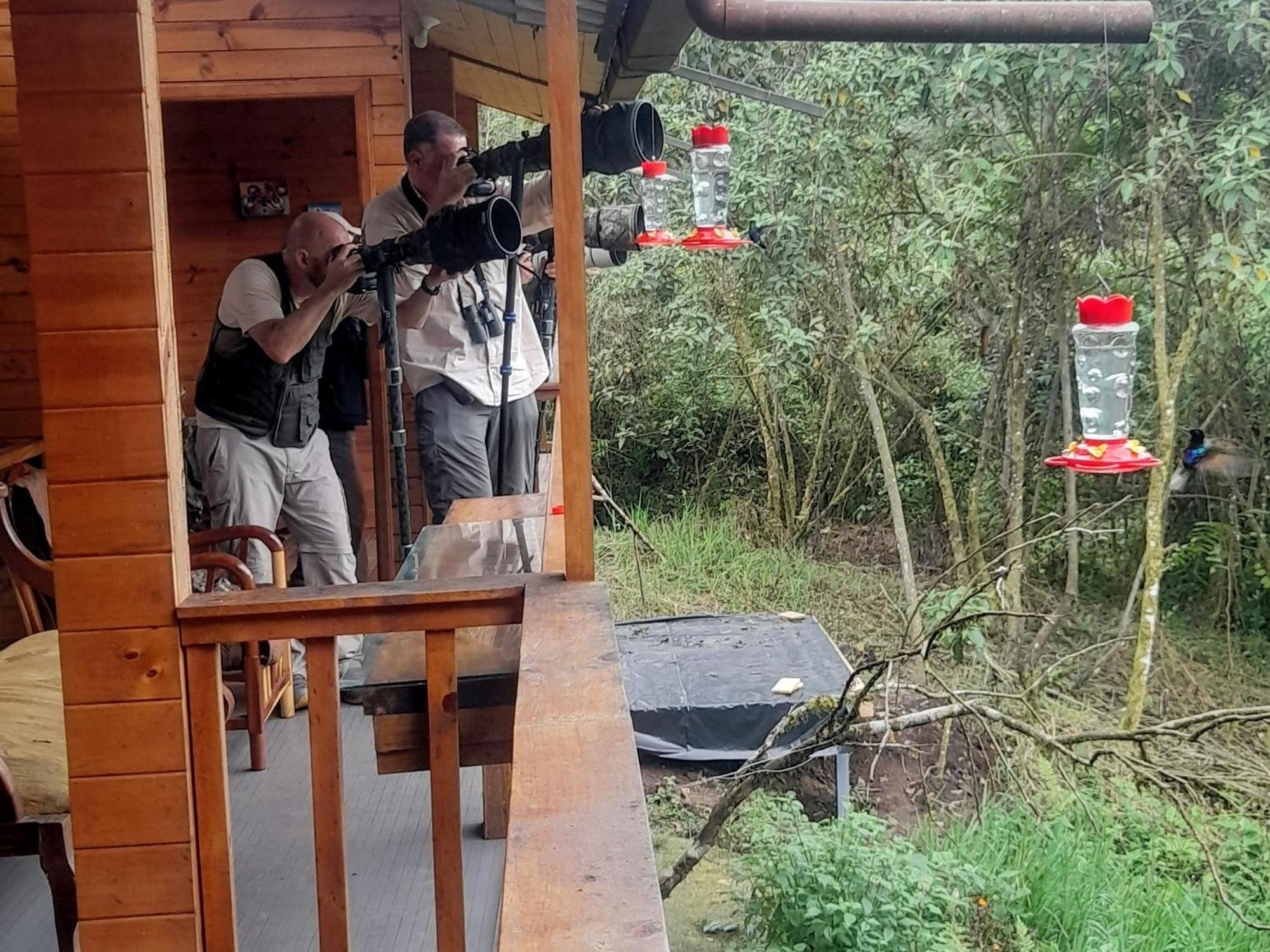 Sendero De Las Aves Mindo Zewnętrze zdjęcie